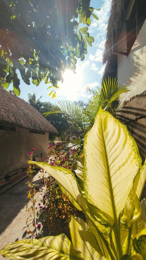 Хостел Kitesurf Tofo House Екстер'єр фото